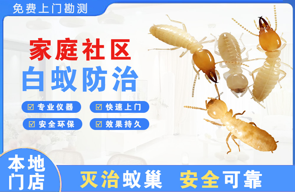 海门家庭社区白蚁防治