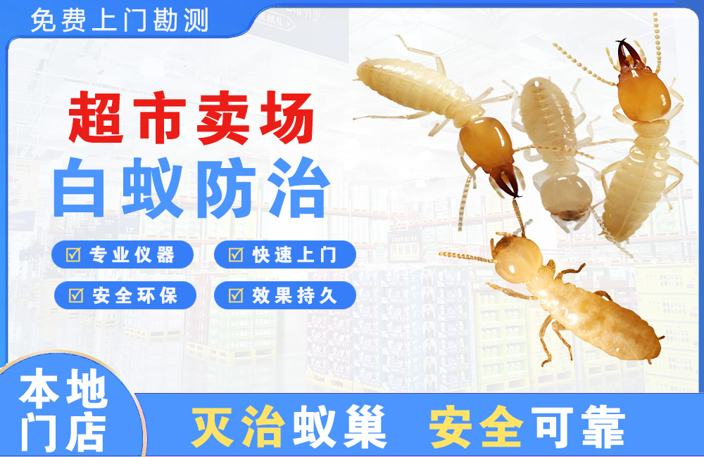海门超市卖场白蚁防治