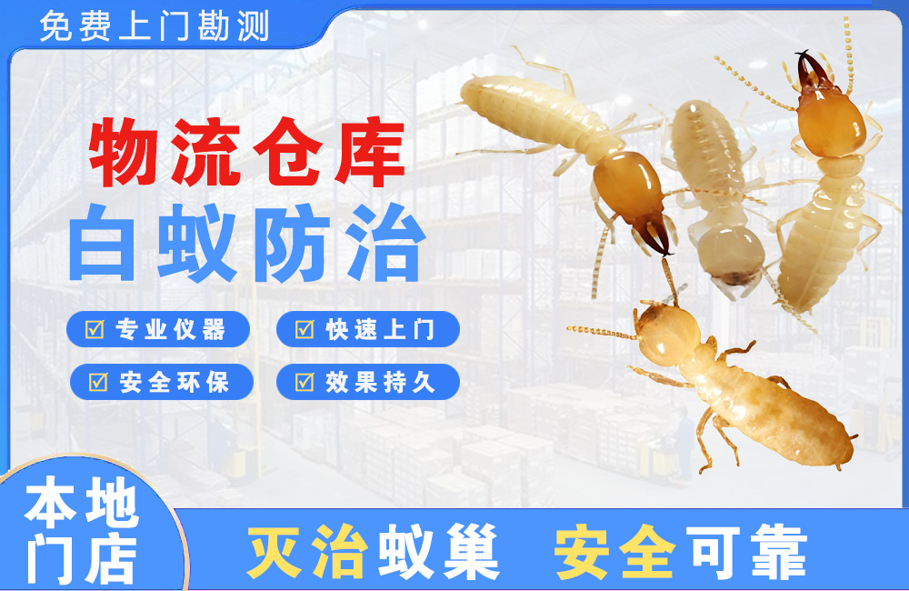 海门物流仓库白蚁防治