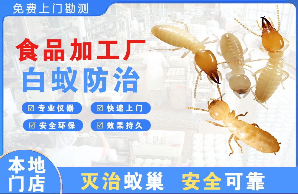 海门食品加工厂白蚁防治