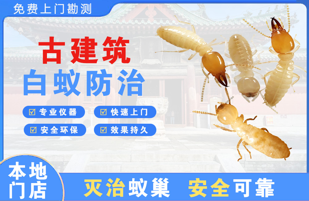 海门古建筑白蚁防治