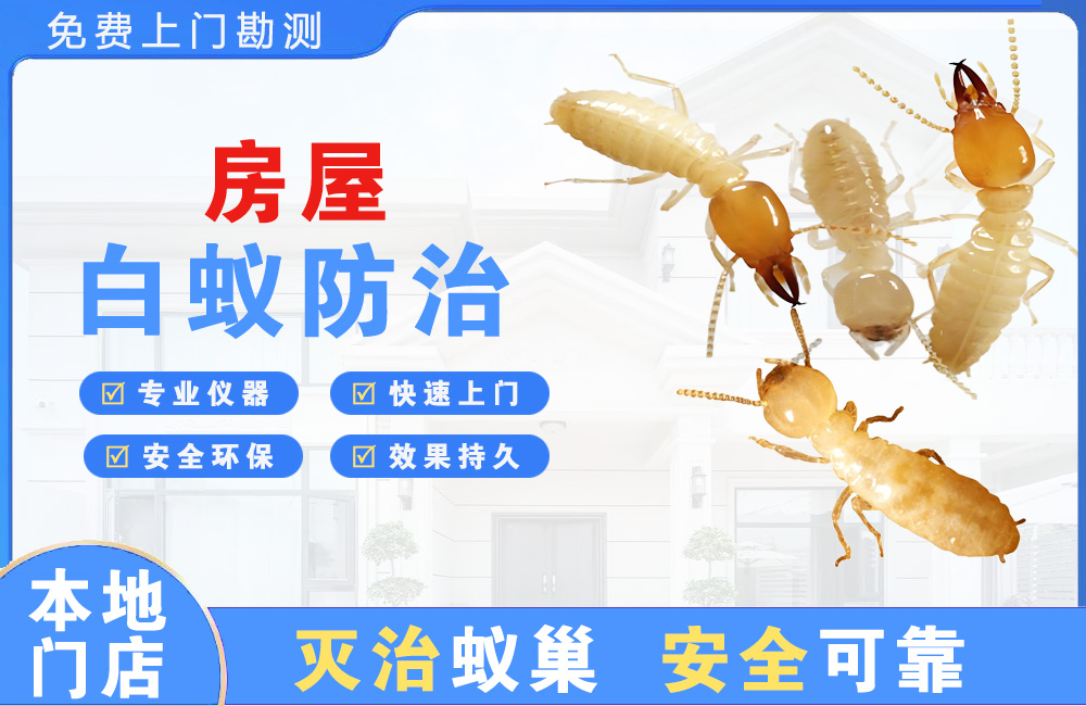 海门房屋白蚁防治